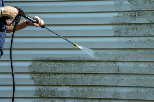Best Local Pressure Washing Services  in Welsh, LA